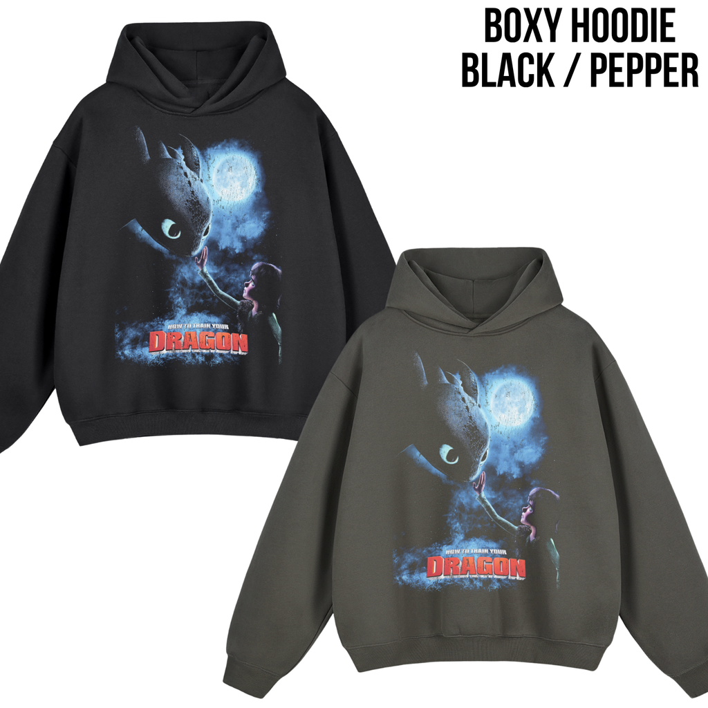 How To Train Your Dragon Shirt – Hiccup and Toothless Graphic Tee, Night Fury Dragon Fan Gift