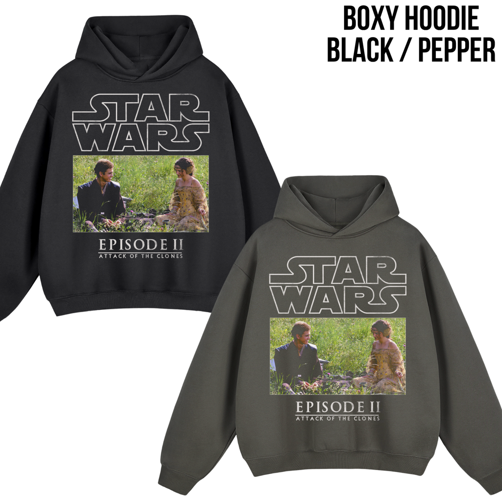 Star Wars Anakin and Padme Shirt – Attack of the Clones Tee, Anakin Padme Naboo Graphic Tee,
