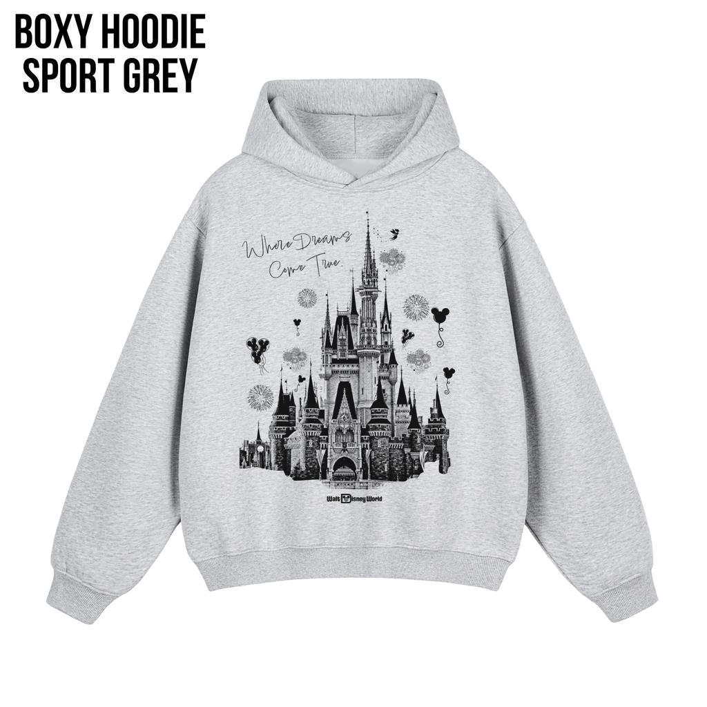 Disney Castle Shirt – Where Dreams Come True Disneyworld Tee