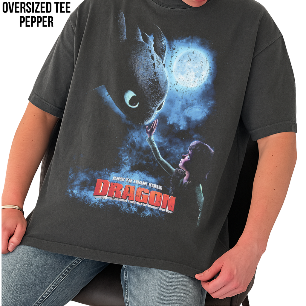 How To Train Your Dragon Shirt – Hiccup and Toothless Graphic Tee, Night Fury Dragon Fan Gift