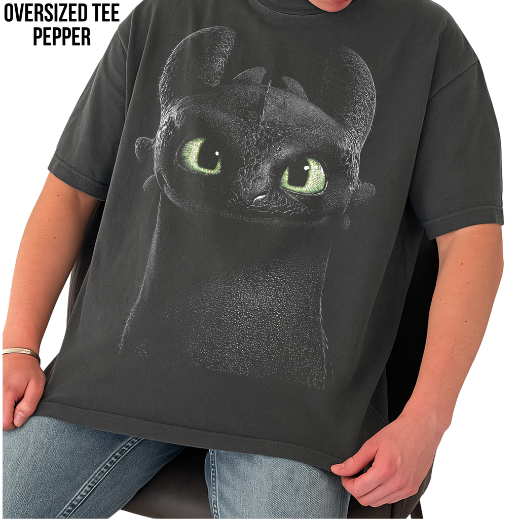 Toothless Shirt – How To Train Your Dragon Close Up Graphic Tee, Toothless Night Fury Fan Gift