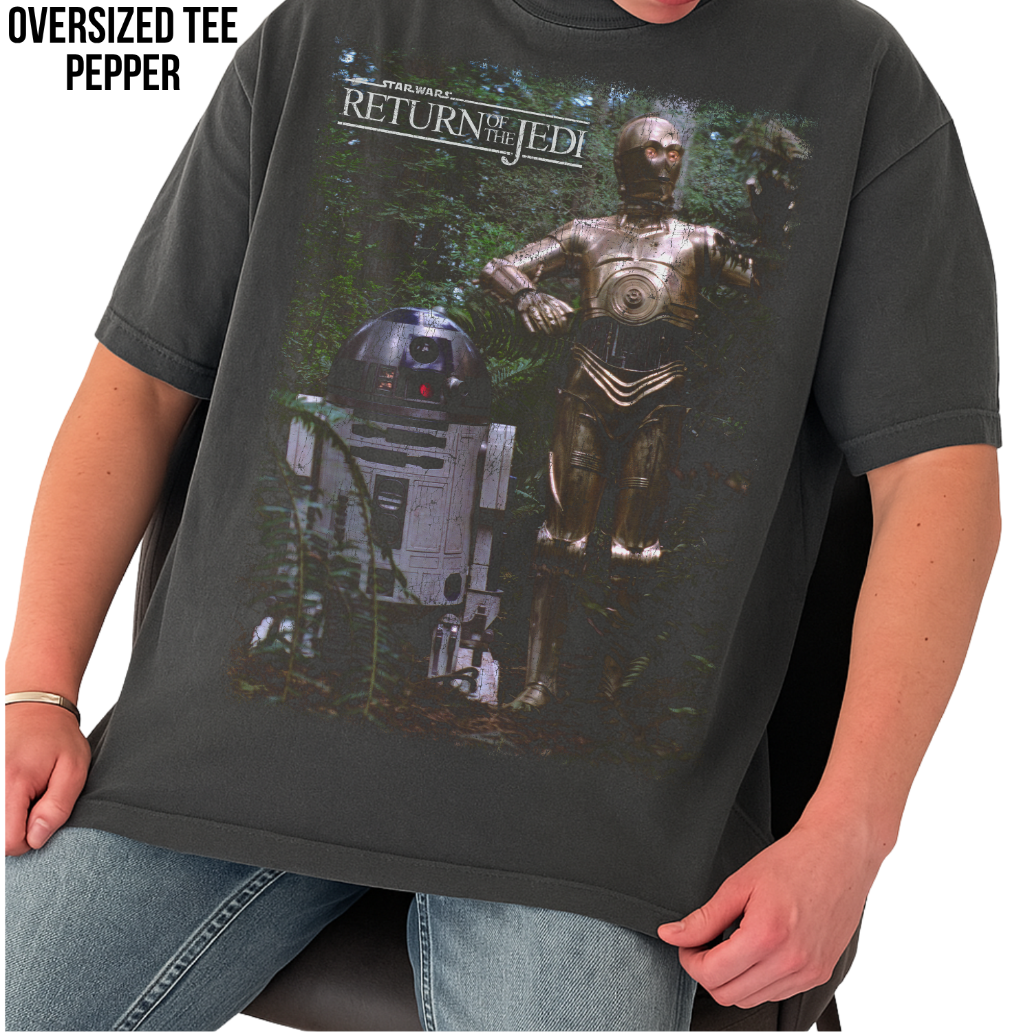 Star Wars Return Of The Jedi Shirt – R2-D2 and C-3PO Endor Graphic Tee, Star Wars Fan Gift, Return Of The Jedi Droids Shirt