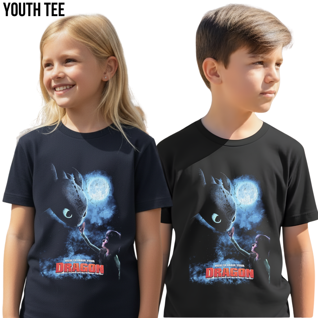 How To Train Your Dragon Shirt – Hiccup and Toothless Graphic Tee, Night Fury Dragon Fan Gift