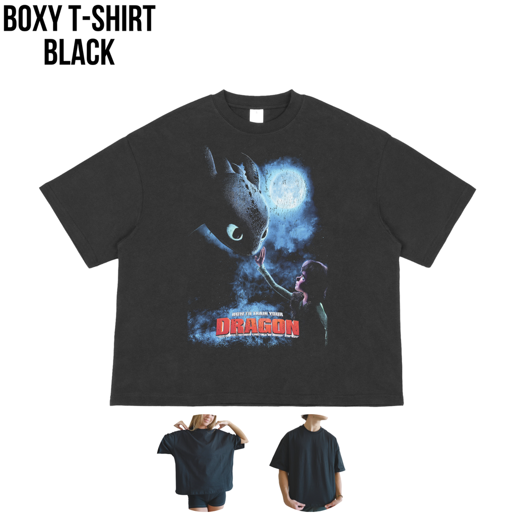 How To Train Your Dragon Shirt – Hiccup and Toothless Graphic Tee, Night Fury Dragon Fan Gift