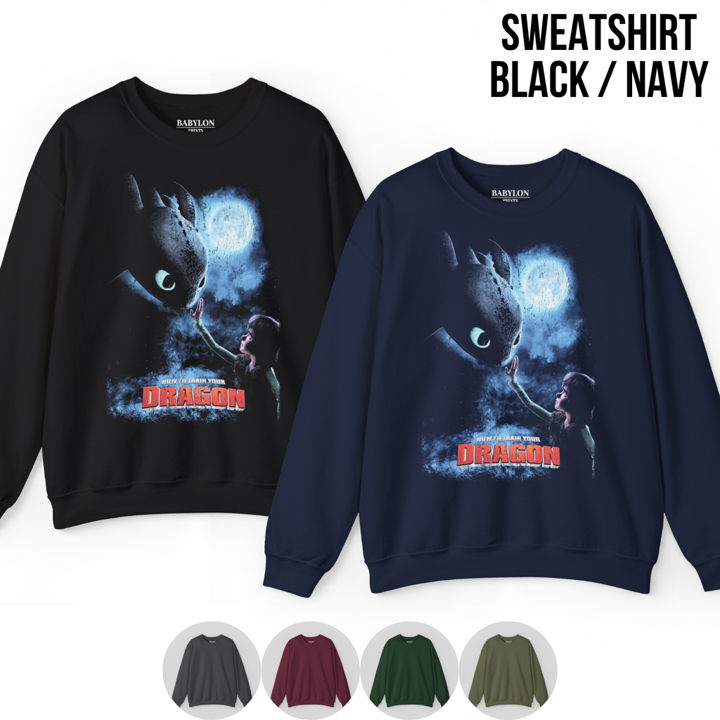 How To Train Your Dragon Shirt – Hiccup and Toothless Graphic Tee, Night Fury Dragon Fan Gift